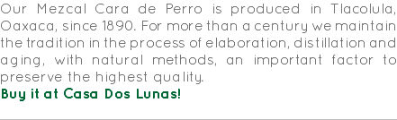 Our Mezcal Cara de Perro is produced in Tlacolula, Oaxaca, since 1890. For more than a century we maintain the tradition in the process of elaboration, distillation and aging, with natural methods, an important factor to preserve the highest quality. Buy it at Casa Dos Lunas! 