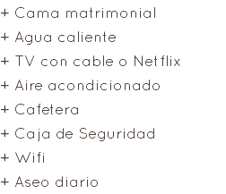+ Cama matrimonial + Agua caliente + TV con cable o Netflix + Aire acondicionado + Cafetera + Caja de Seguridad + Wifi + Aseo diario
